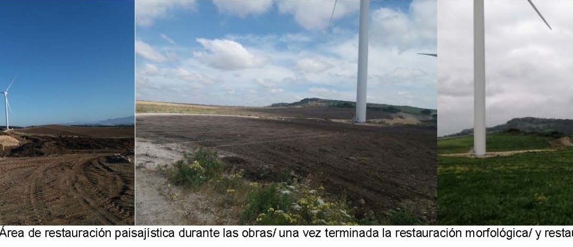 Vigilancia Ambiental Durante La Construcción De Numerosos PPEE Y PSFV ...